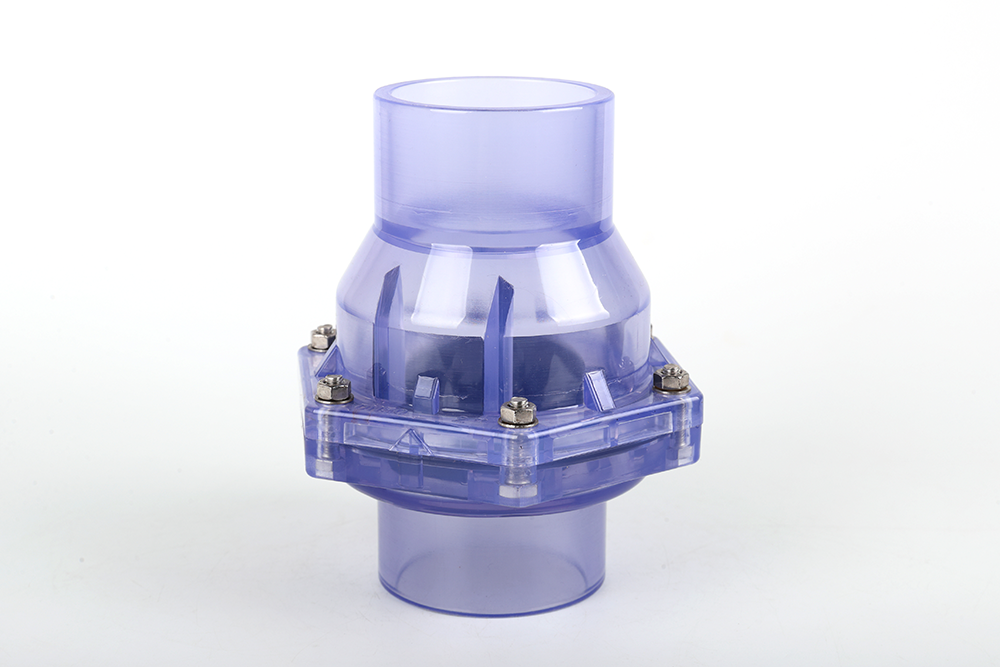 尚义透明翻板式止回阀